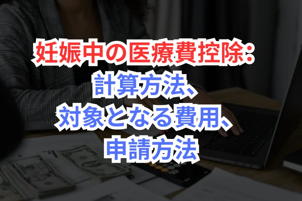 妊娠中　医療費控除