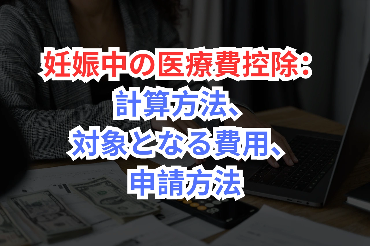 妊娠中　医療費控除